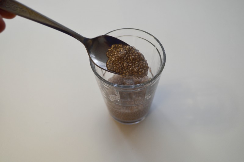 Chia Egg